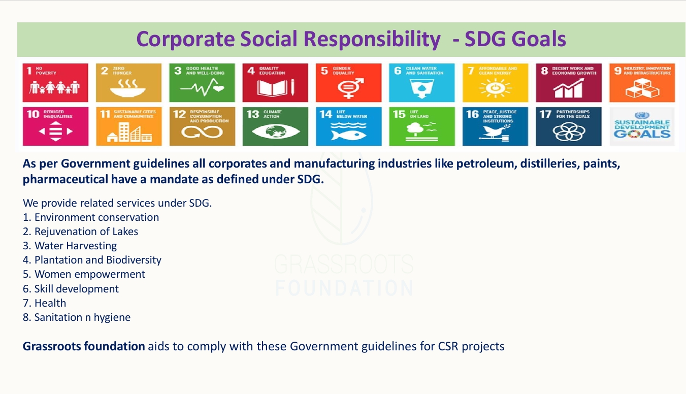 IGSSS Project Background